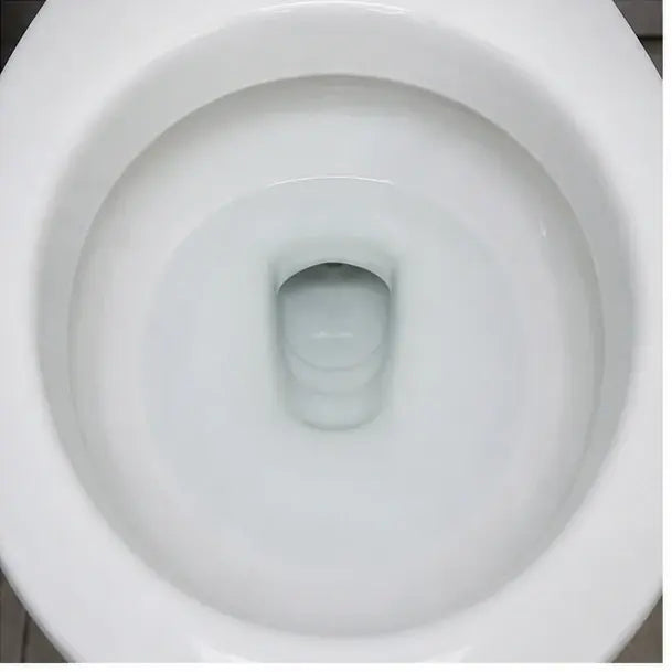AFTER photo — same toilet bowl, ring fully gone, porcelain clear at the waterline.