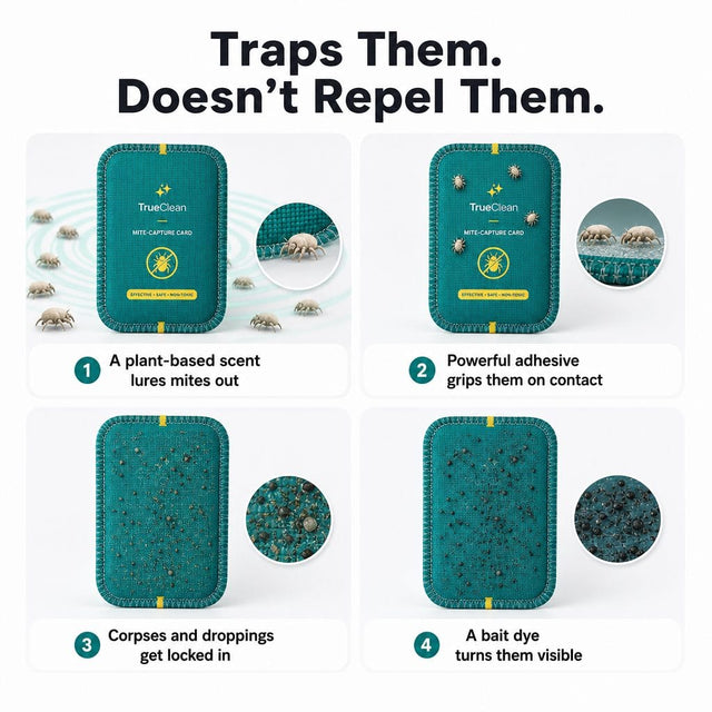 4. They Crawl In On Their Own — And Never Crawl Out