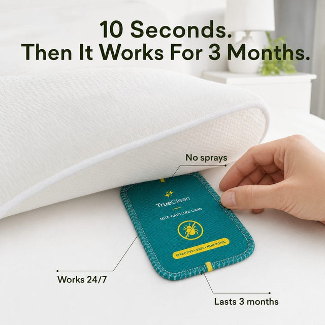 6. 10 Seconds of Effort. 3 Months of Protection.