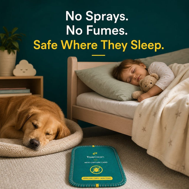 7. Safe for Cribs, Kids' Beds, and Pet Beds